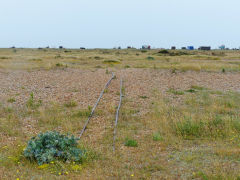 
Line 2, Dungeness fish tramways, June 2013